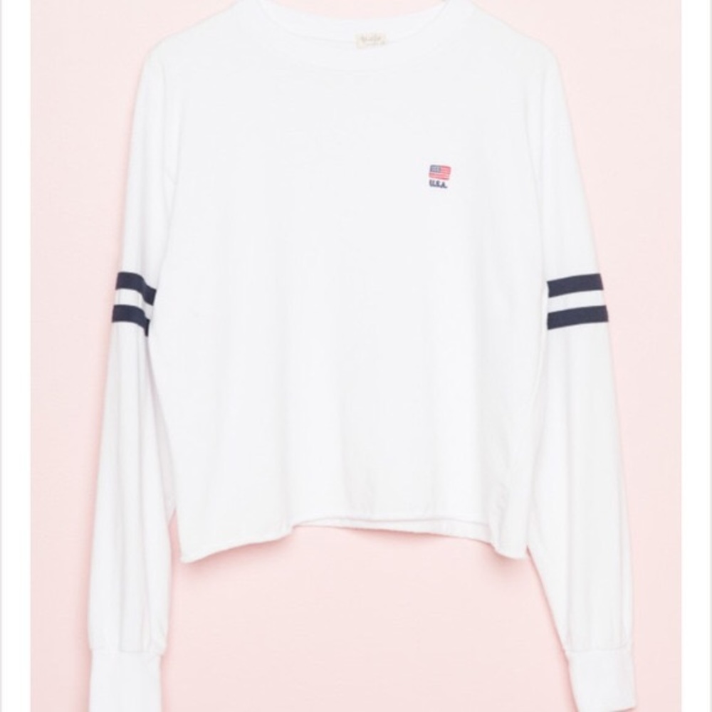 NWT Brandy Melville USA crop long sleeve